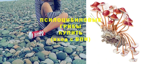 бошки Ельня