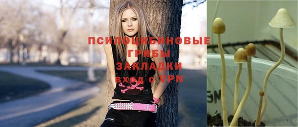ГАЛЛЮЦИНОГЕННЫЕ ГРИБЫ Заволжск