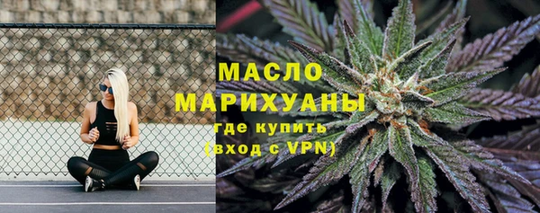 шишки Елизово