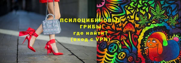 дурь Елабуга