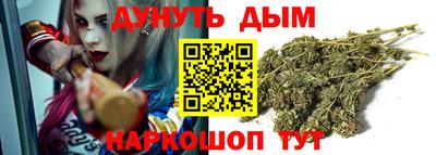 сатива Гатчина