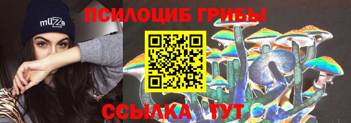 Псилоцибиновые грибы GOLDEN TEACHER  Вход с VPN  Грозный  дарнет шоп  Галлюциногенные грибы Magic Shrooms 