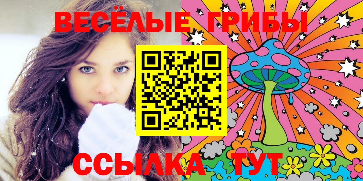 Галлюциногенные грибы Psilocybe  Грозный 